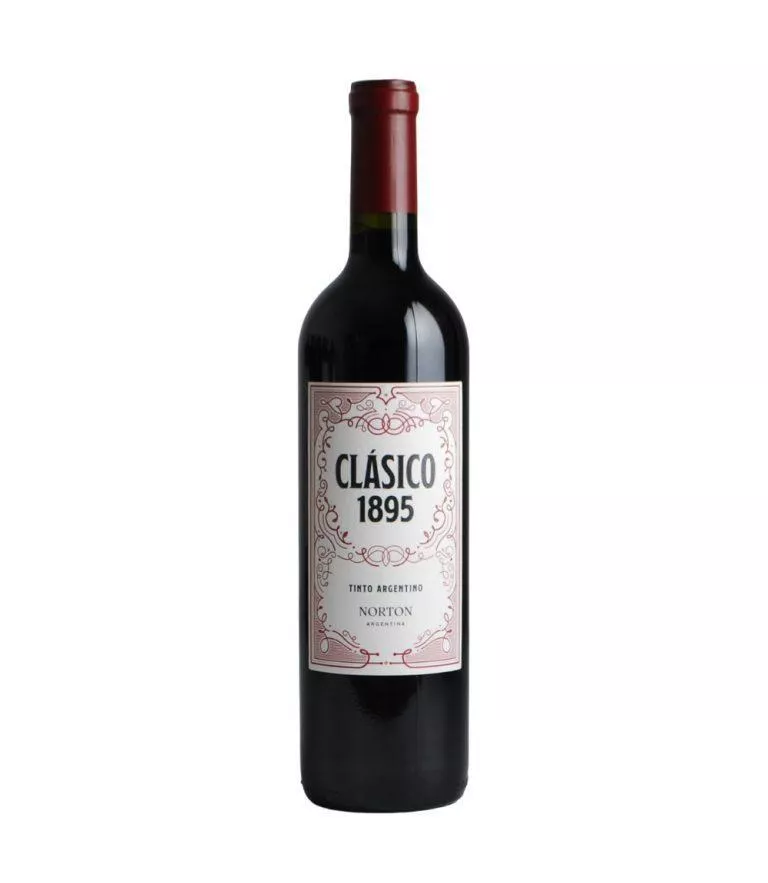 NORTON TINTO
