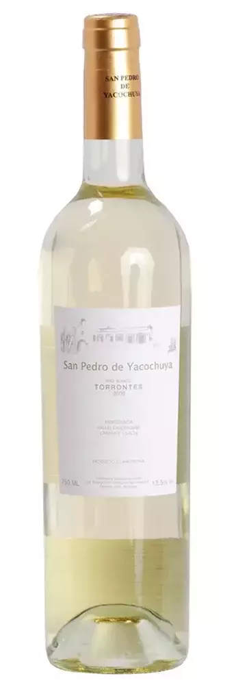 SAN PEDRO DE YACOCHUYA TORRONT
