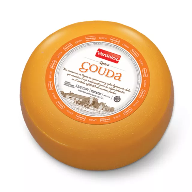 GOUDA VERONICA
